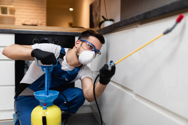 Best Local Pest Control Services  in Munford, TN