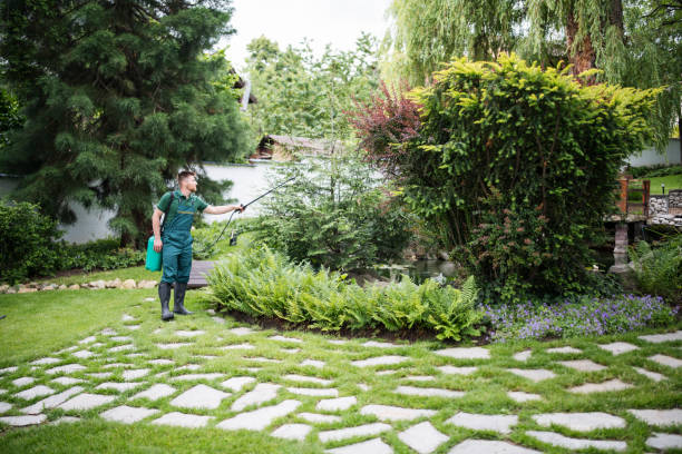 Best Best Pest Control Companies  in Munford, TN