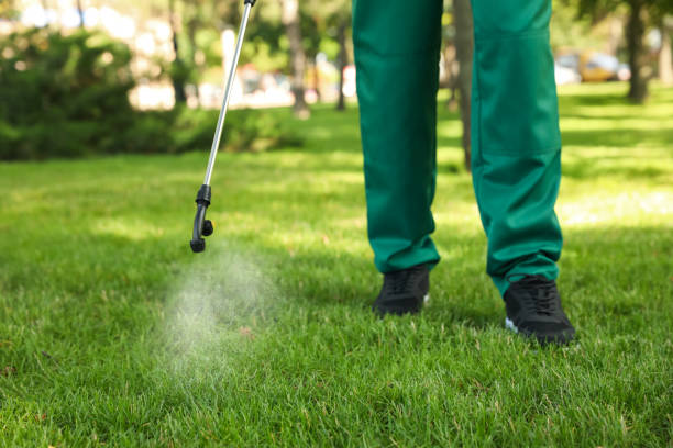 Pest Prevention Services in Munford, TN