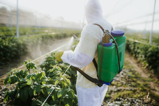 Best Wildlife Control Services  in Munford, TN